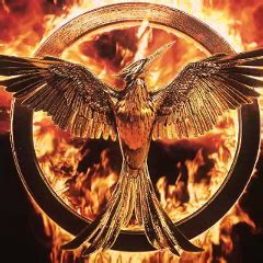 Order of deaths from 74th games : r/Hungergames .